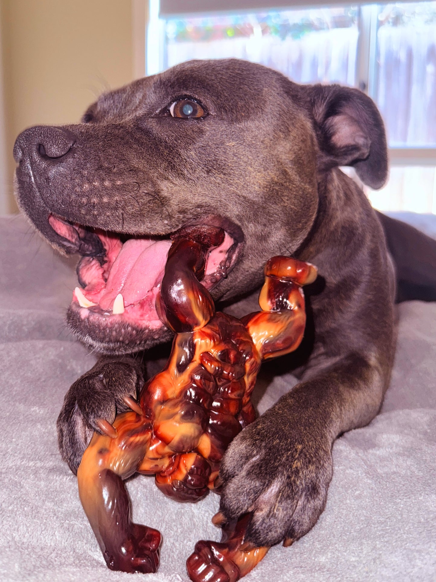 Gorilla Beef Flavour | Aggressive Chewer