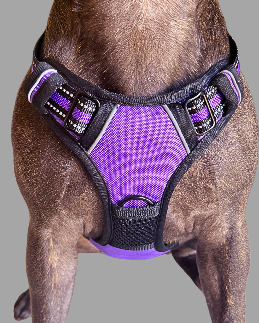 Ultimate No-Pull Dog Harness | Soft Padded for Comfort & Total Control
